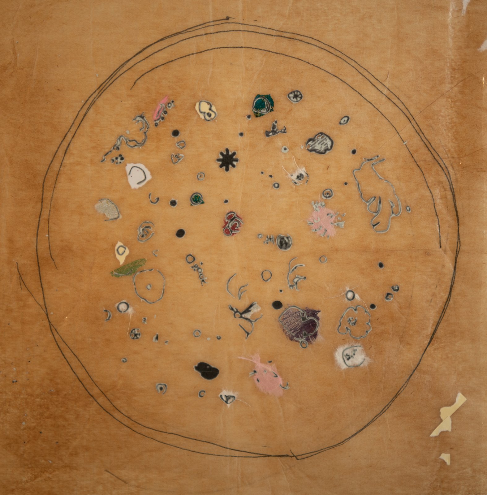 Medlars and Sorb-Apples — collage: small fragments scattered within a drawn circle on ochre paper